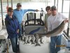 (06/09/2014) - Nice Striped Bass